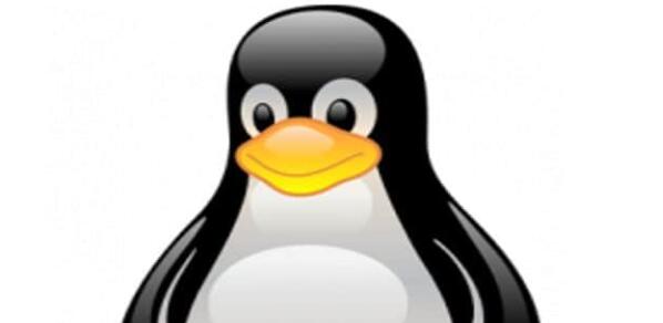 Linux最好用的VPN软件稳定可用的梯子排名